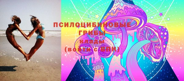 мет Алексин