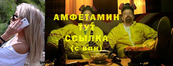 мет Алексин