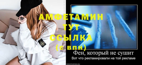 мет Алексин