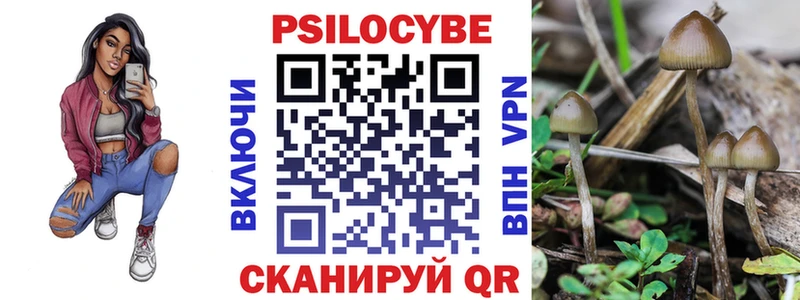 Галлюциногенные грибы Magic Shrooms  kraken сайт  Дмитров 