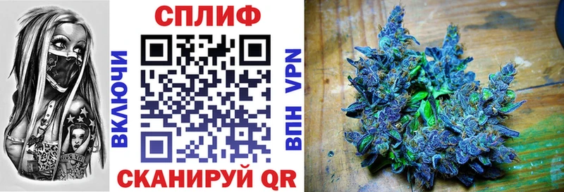 Бошки марихуана White Widow  Дмитров 